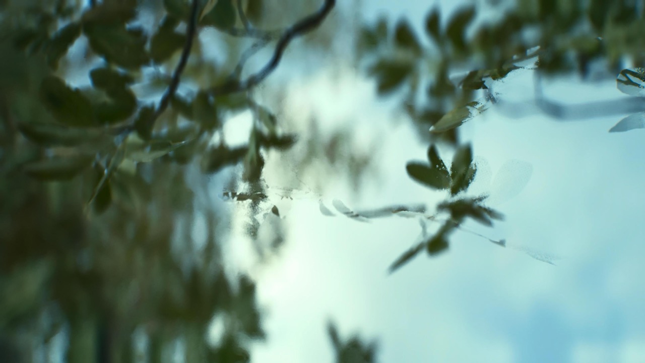 Studies on Breaking Immersion